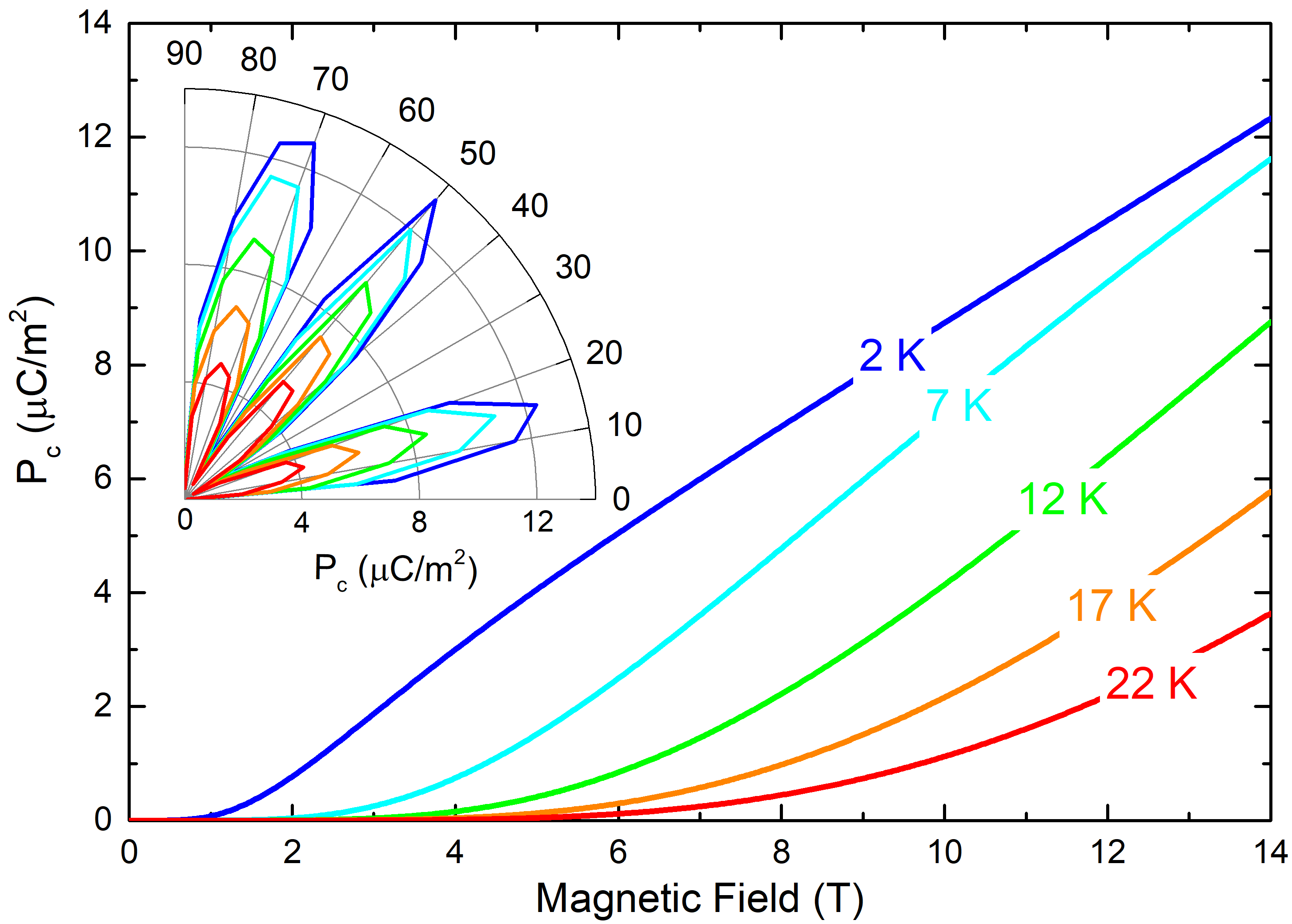 Polarisation in Ho-langasite