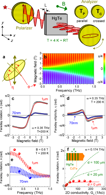 Faraday effect in HgTe